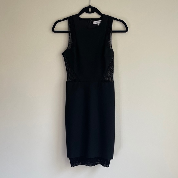 Elizabeth & James Mesh Insert Dress - Picture 3 of 6